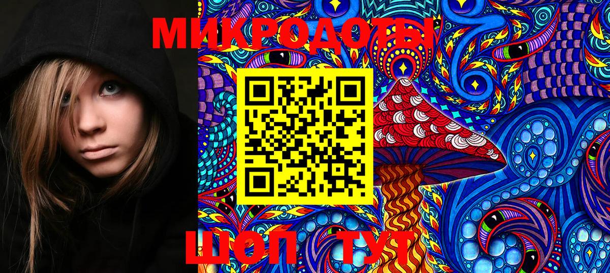 Галлюциногенные грибы Magic Shrooms Каменка