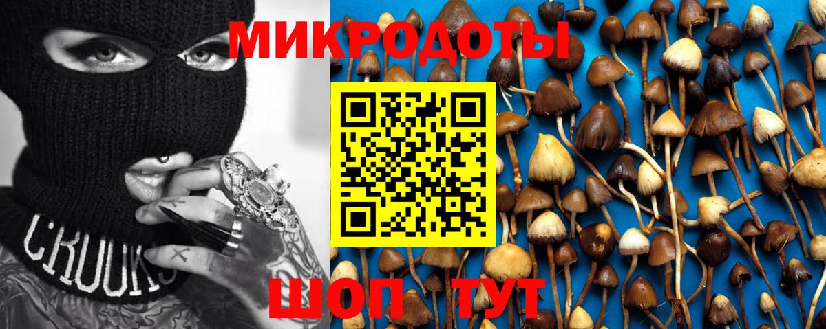 Псилоцибиновые грибы мухоморы  Вход с VPN  Каменка 