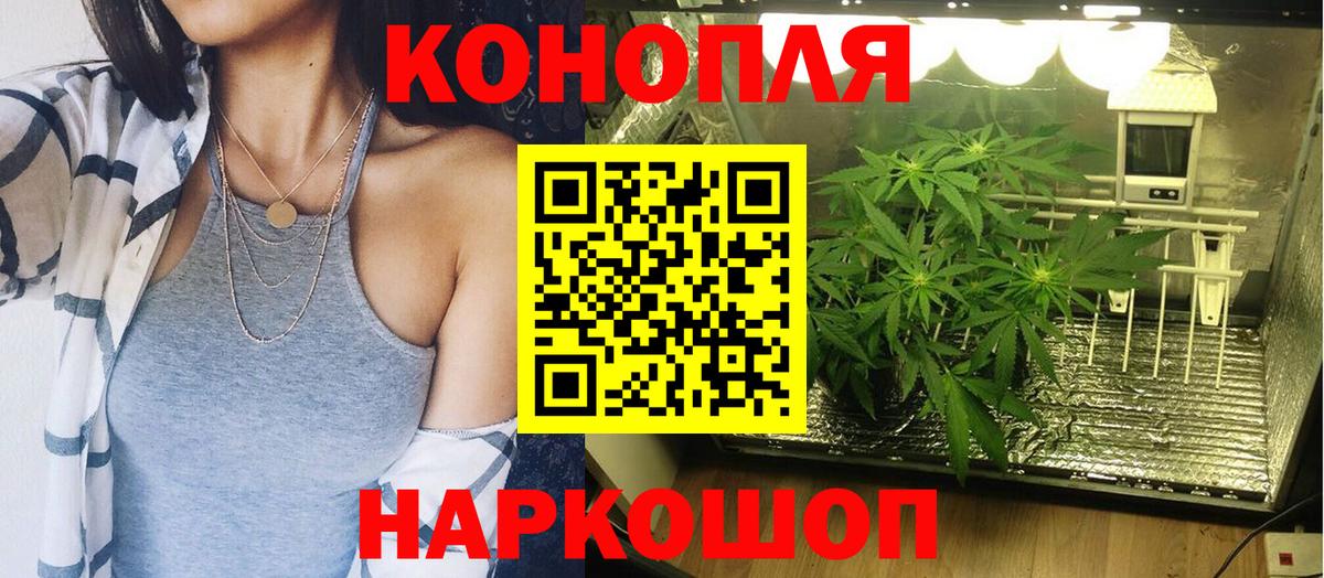 МАРИХУАНА ГИДРОПОН Каменка